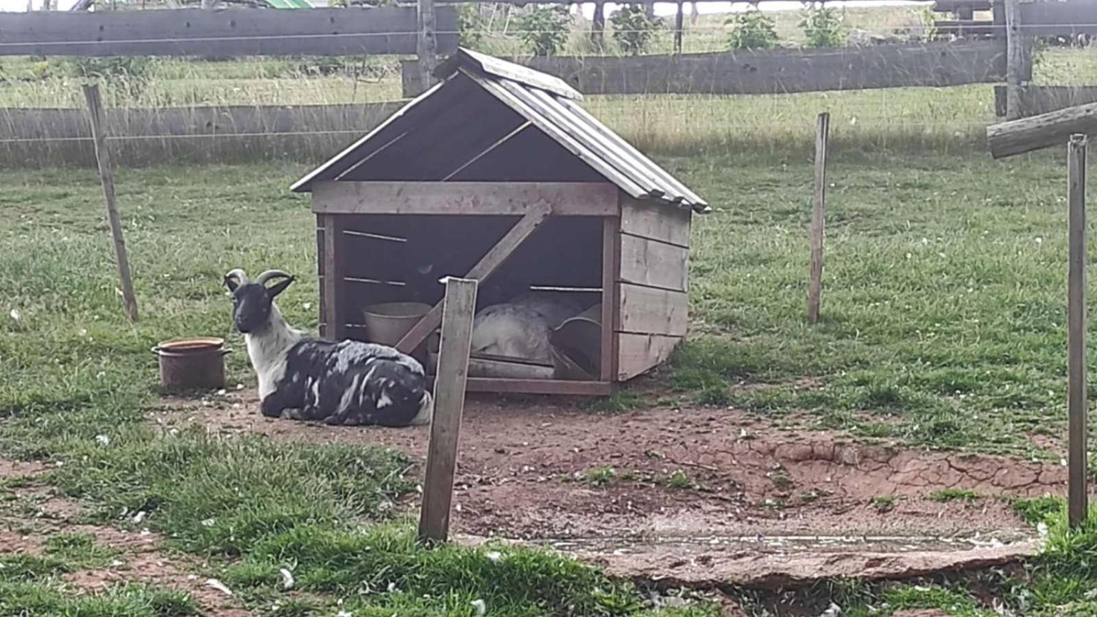 Apartman Na Statku Červený Kostelec المظهر الخارجي الصورة