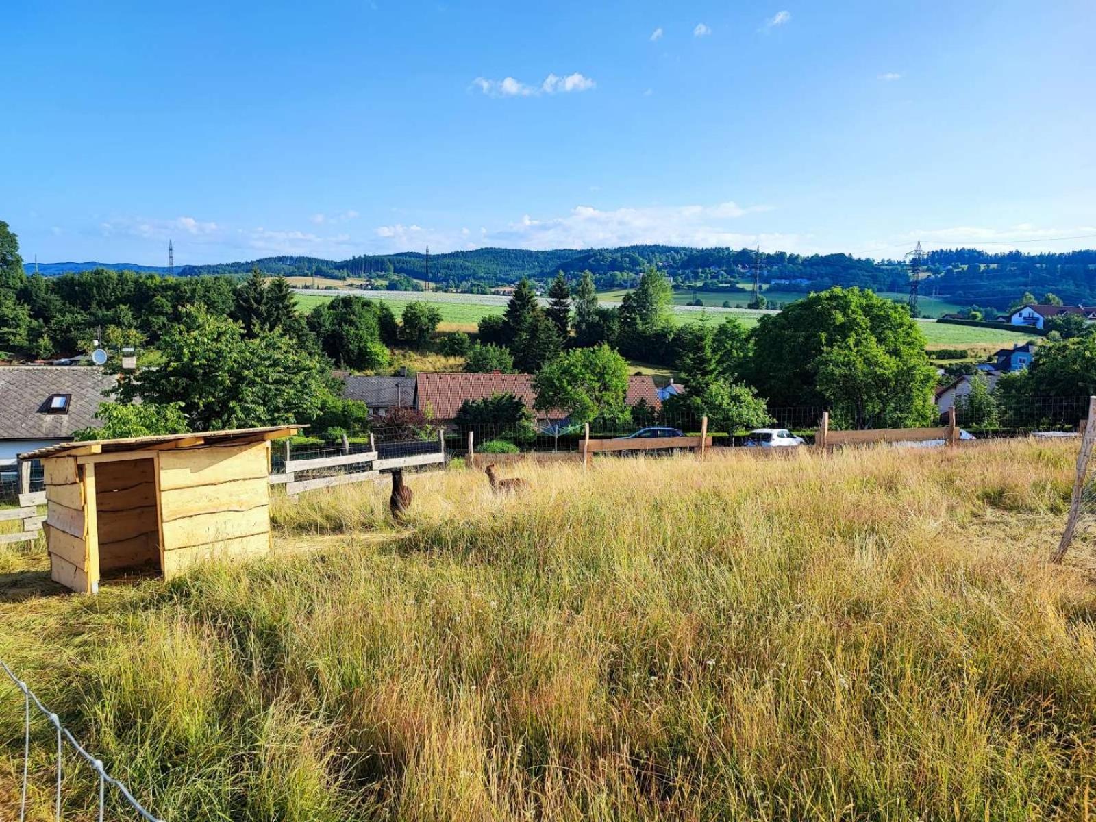 Apartman Na Statku Červený Kostelec المظهر الخارجي الصورة