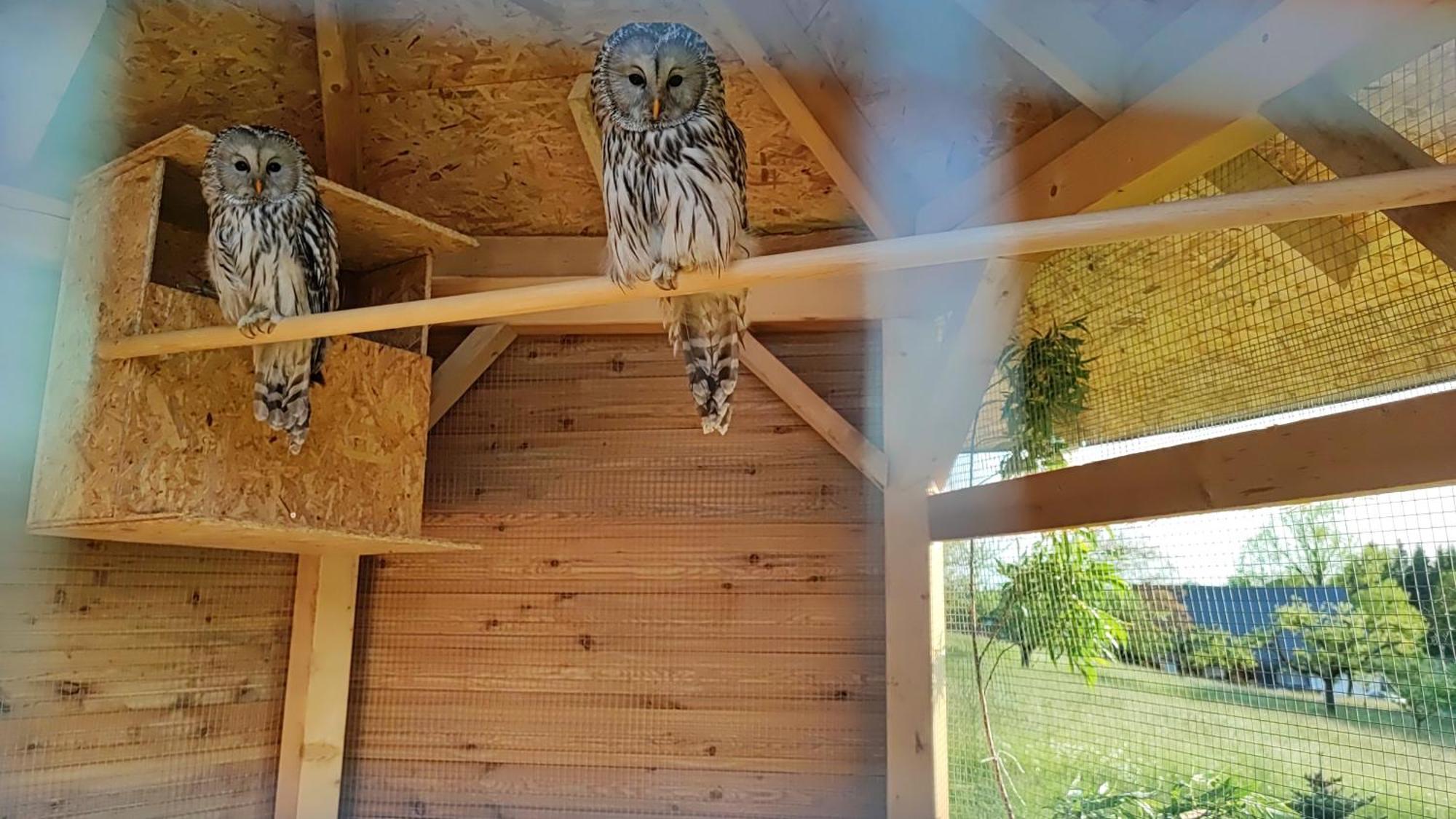 Apartman Na Statku Červený Kostelec المظهر الخارجي الصورة